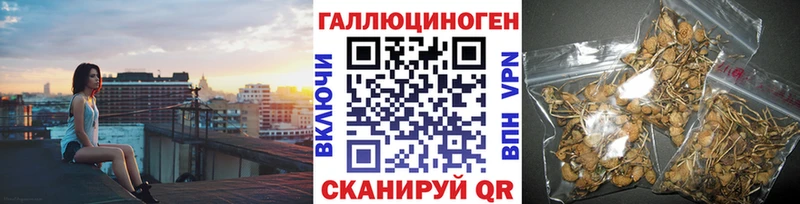 Галлюциногенные грибы MAGIC MUSHROOMS даркнет сайт Малгобек
