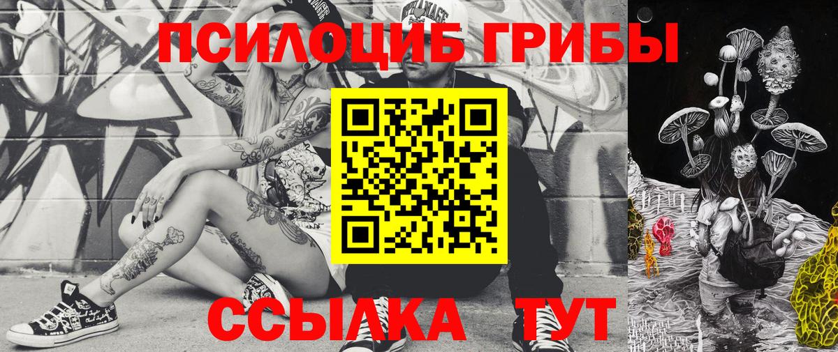 Псилоцибиновые грибы ЛСД  Вход с VPN  Малгобек  Галлюциногенные грибы ЛСД 